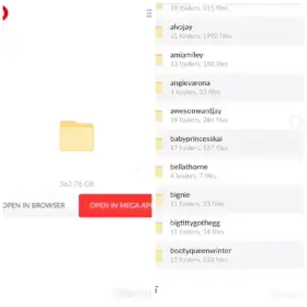 Get FREE 360GB Of Mega Collection in Comment⬇️⬇️