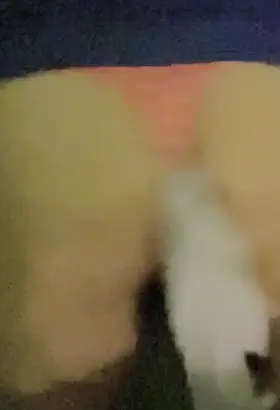 Shaking My Ass With My Sock In It, bitch in heat