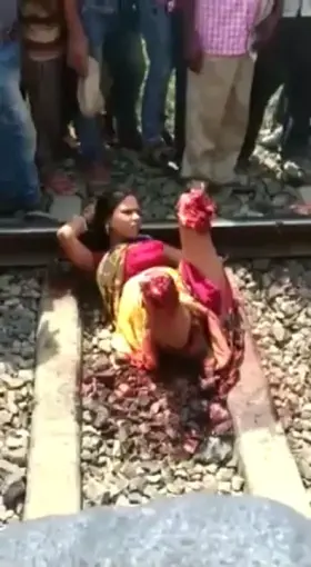 Just chilling on the train tracks.