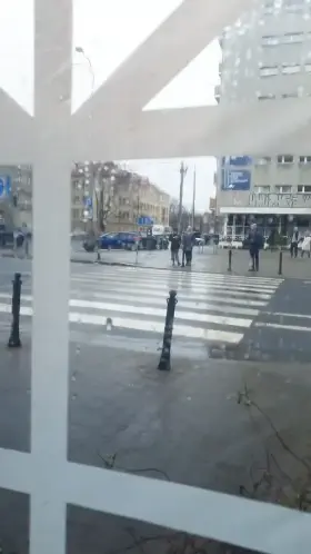 Question. Did the waitress see it or not?