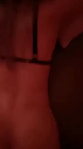 New on this reddit, can someone help me?