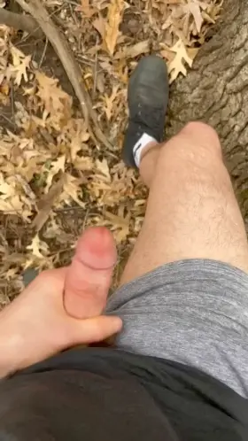 Why’d you let it go to waste?