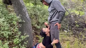 just a nice day in the woods....