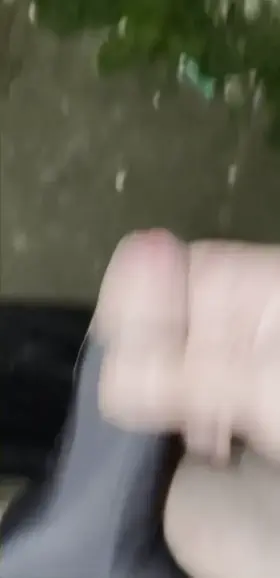 Flashing dick out my gate for the neighbours… again