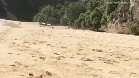 Anal At The Beach With People Around (adventurescouple) [10:55]