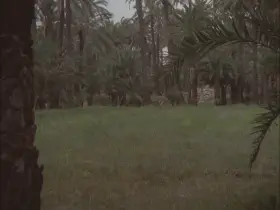 Run to the beach, run for her life (Lina Romay - La Comtesse Perverse (FR1974))