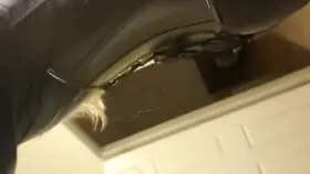 Get ready to serve me