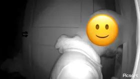 M4M #Fayetteville AR - Looking to take a load in NWA