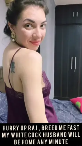 Snowbunny getting ready to be bred by Superior Desi Bull