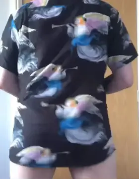 my friend is having a private party at a club and it’s shit shirt themed. im thinking just this shirt but it’s a little short 🥺