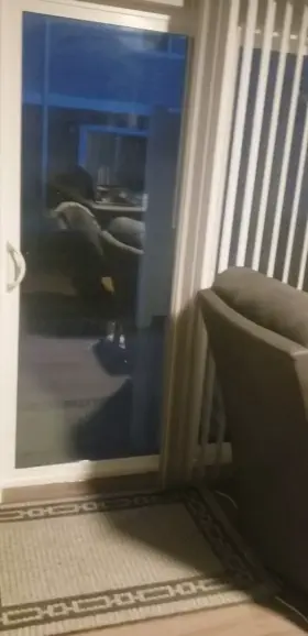 (42)who would like to be my neighbor