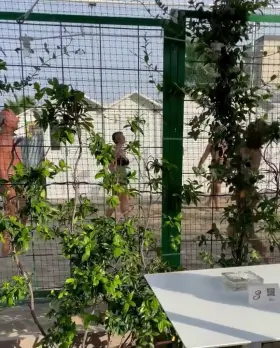 Meet me in the beach's bathroom for a quickie!