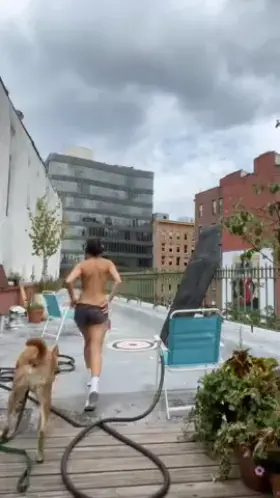 The real reason I move apartments every few months