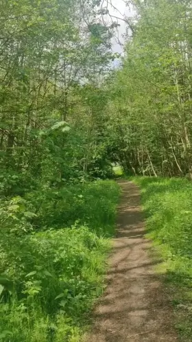 Dumping my cum on a public trail. I met a cycling couple just seconds after taking this, the thrill was amazing