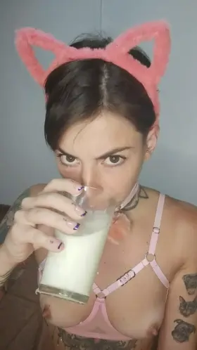 💸FREE ACCOUNT💸Im a cat in heat 🔥