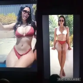 Can’t help but jerk and cum all over my IRLs!