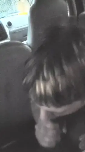 going to town on a BBC in the backseat