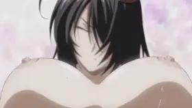 Bring the Toys [Ikki Tousen Great Guardians]