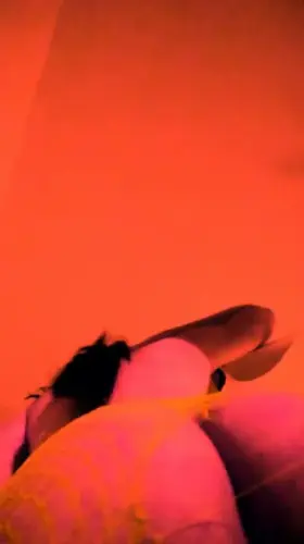 get ready for your bunny riding