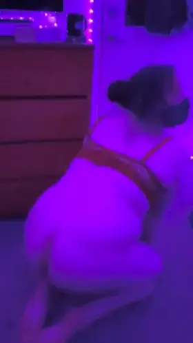 bend this thicc trans slut over and fuck her hard~ 🖤