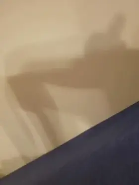 Had a cuddle date cancel on me, so now my plan for tonight is just more of this