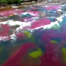 The Caño Cristales is a river in Colombia, it only has its variety of colors from July to November, is also known as the liquid rainbow