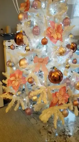 Is this the present you wanted for Christmas?🎄