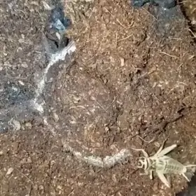 This made me feel uncomfortable