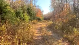 [OC] She laid here masturbating for 11 minutes, because she wasn't allowed to get up until she came.