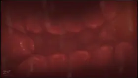 Rp with me I'll put my deku cock in you