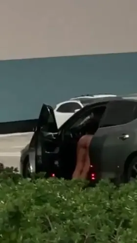 Botomless in the Parking Lot