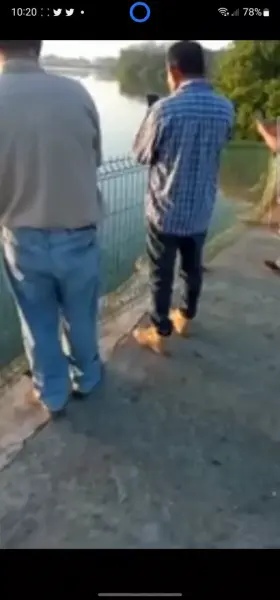 Crocodile drags lifeless corpse of a man. Signs are posted strictly prohibiting swimming in the water.