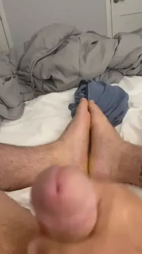 Bear GIF by shyhighguy420