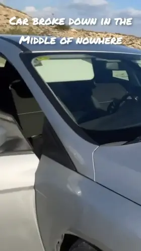 Breeding Mom on Dad's Car