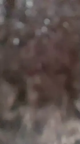 Would you fuck a girl born in 2003 ? Be honest 🙄