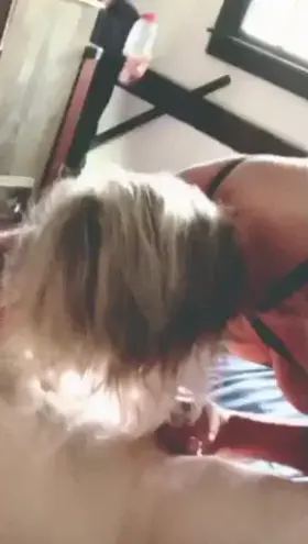 46 yr old Hotwife ‘couple’ submitting to the amazing u/factotum_pole in every way possible. I love to please him