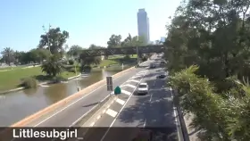 Littlesubgirl - Flashing my tits and fucking my ass in public