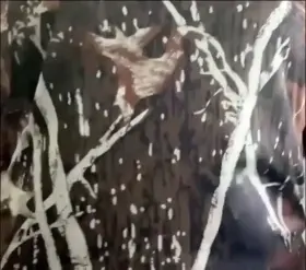 (oc) dropping my big southern titties for you today