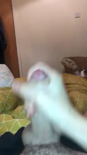 Anyone want to help me out next time? (21)