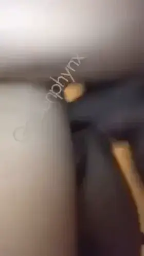 Who Doesn’t Love Doggy?!