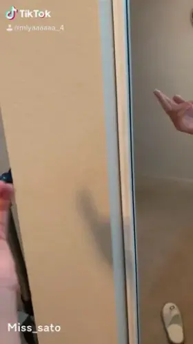 That one tiktok trend but make it festive