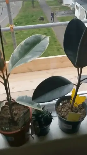 Do you wish he noticed? I turn [26] today :)