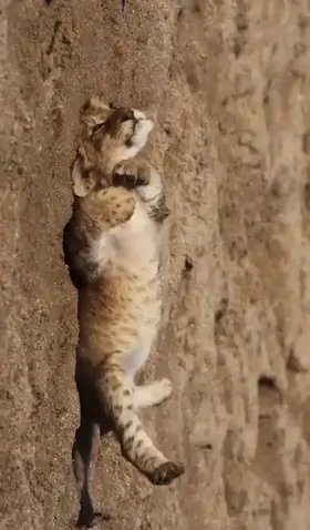 Upvoting everyone in the next 5 hours!! Just comment DONE and I’ll upvote you back 🥱