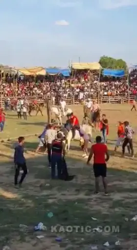 Woman breaks her arm falling off bull