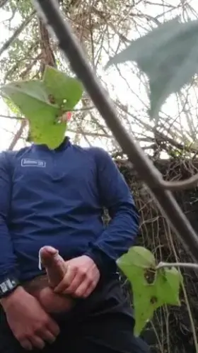 Let me breed you in the woods