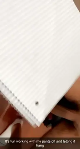 Working from home be like