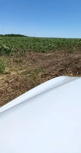 Was horny as hell so I pulled over got out of my work car and came all over the hood of it in a open field...35