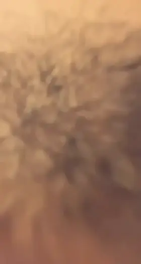 Kneel down bro just trust me