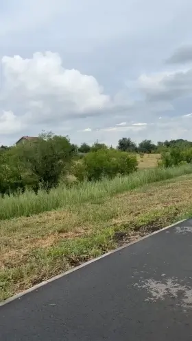 Shall we walk together?