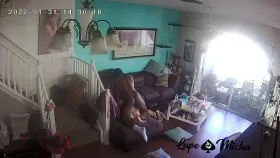 Hotwife Caught on Home camera